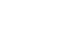 Pioneer